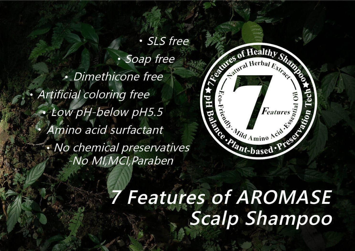 AROMASE Anti-Hair Loss 2 Steps Solution for Thinning Hair (scalp deep cleanser + daily shampoo)